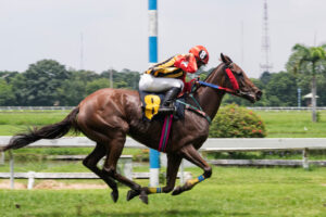 Horse Racing real-time odds API